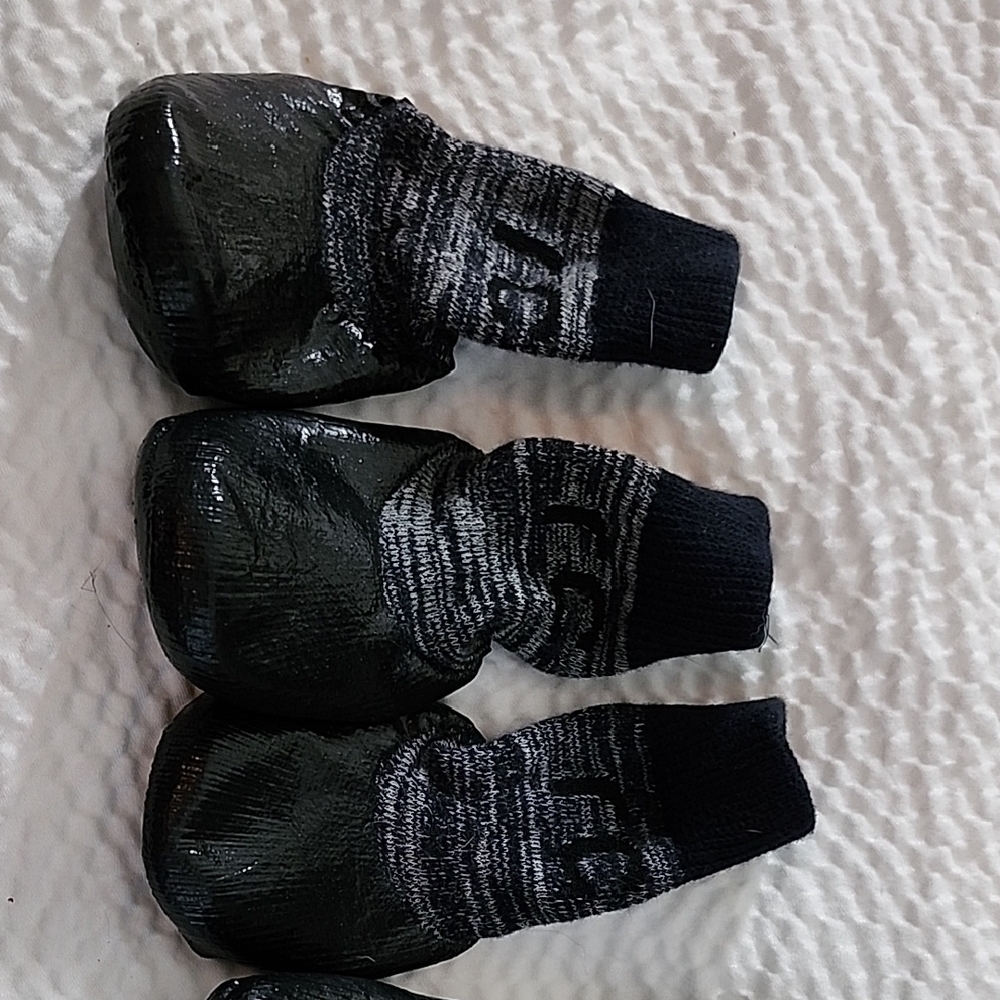 Black and Gray Dog Paw Protectors
